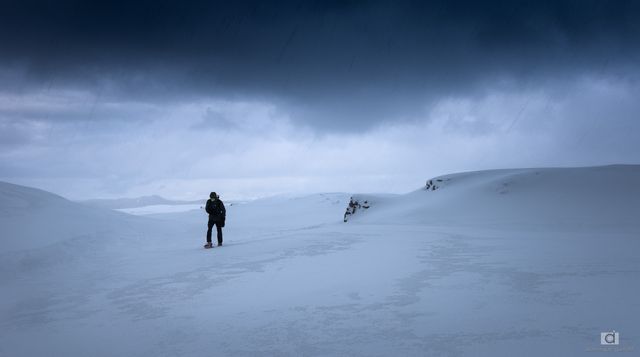 Dans la tourmente